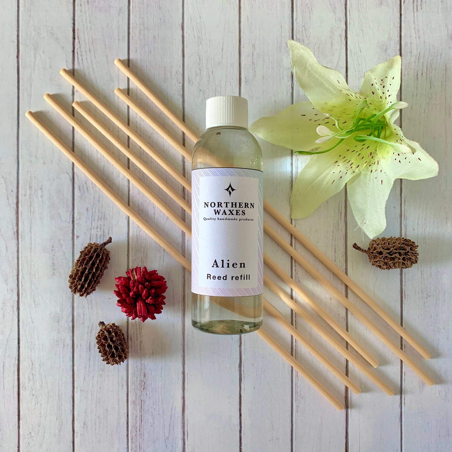 Coco sandalwood Reed Diffuser by Northernwaxes