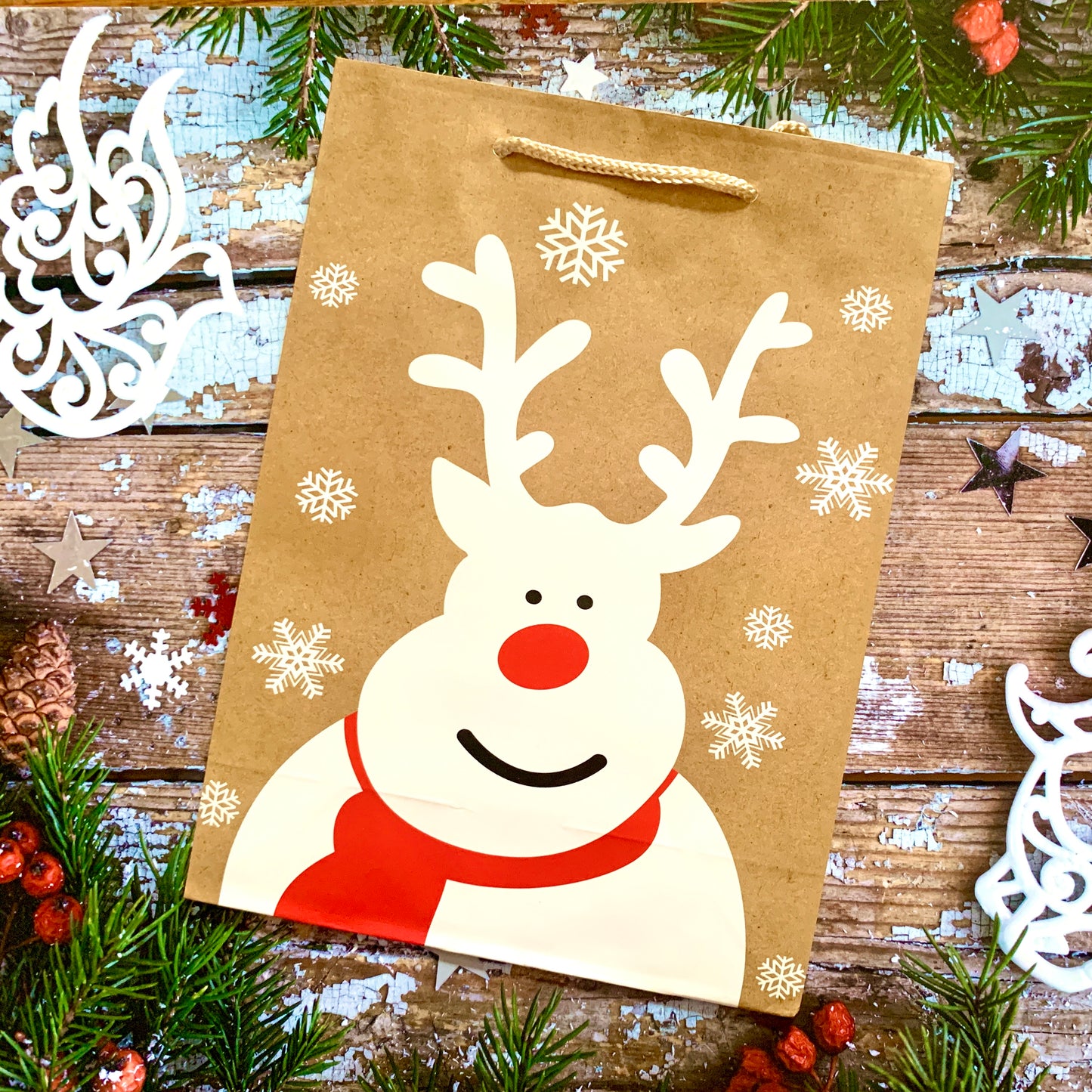 A Rudolph themed christmas bag